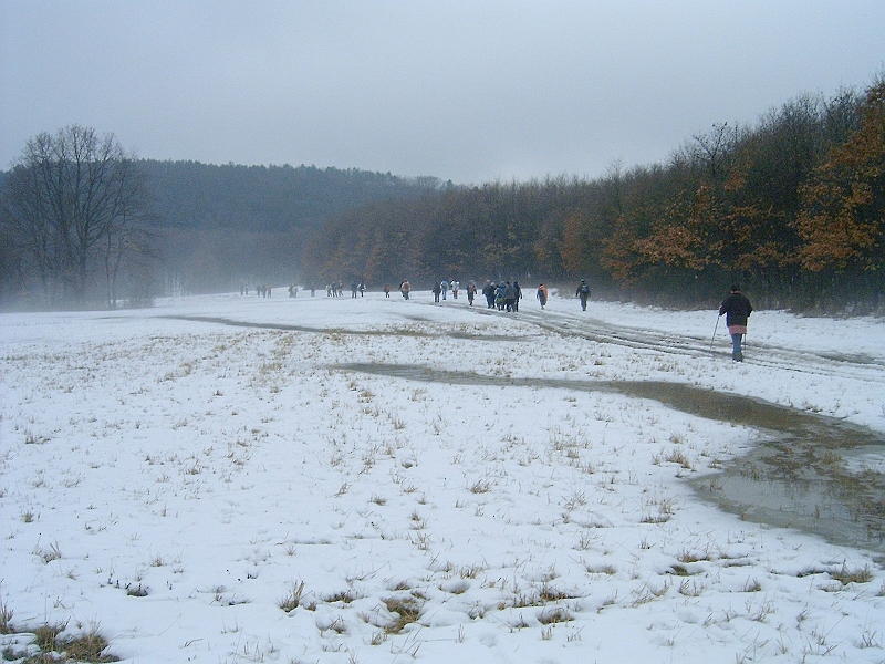 20100220 033.jpg